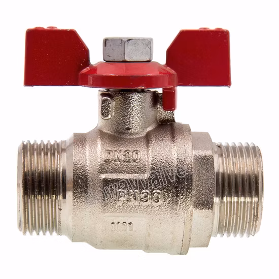 OEM/ODM 단조 풀 포트 NPT 600wog 1/2